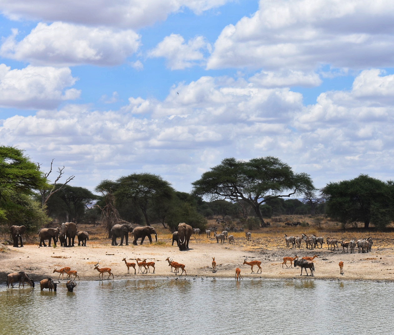 Tangier National Park Tanzania